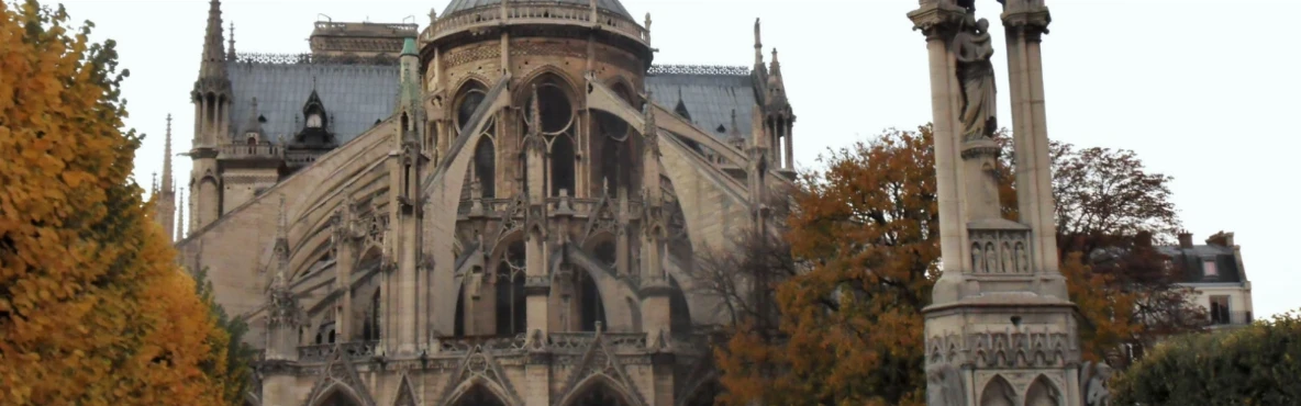 Visit Square Jean XXIII: A Peaceful Garden Behind Notre-Dame