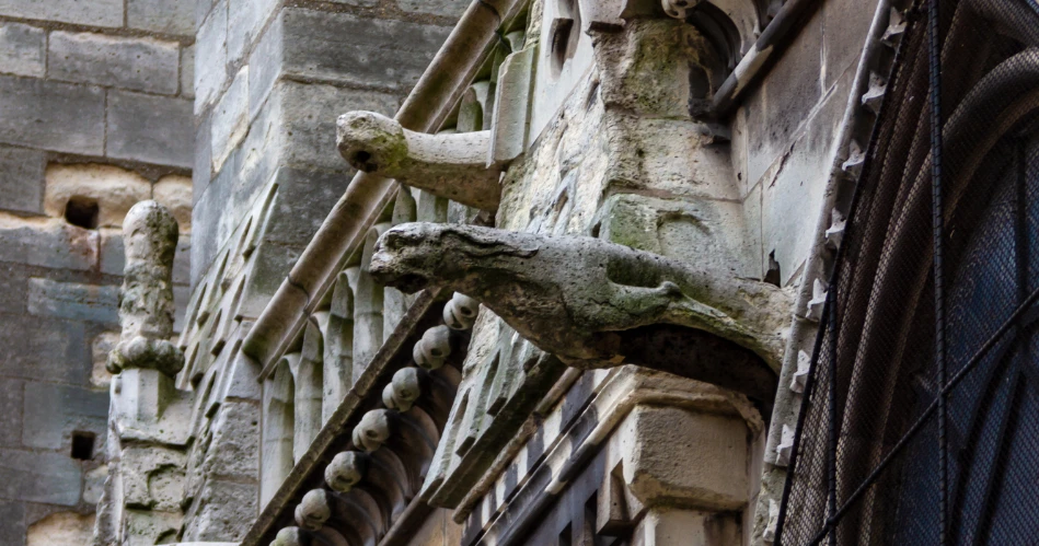 Admire the Gothic Architecture of Notre-Dame Up Close