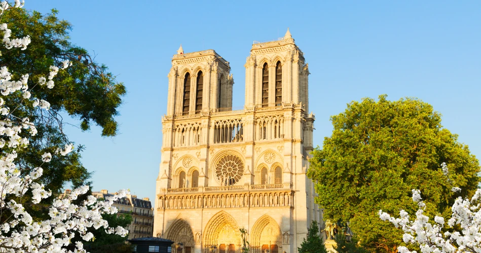Visit Square Jean XXIII: A Peaceful Garden Behind Notre-Dame