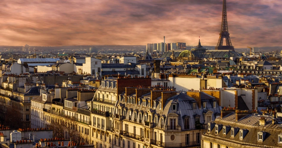Visit Square Jean XXIII: A Peaceful Garden Behind Notre-Dame