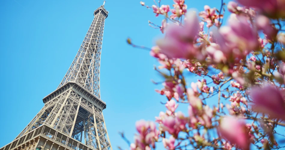 Visit Square Jean XXIII: A Peaceful Garden Behind Notre-Dame